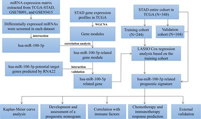 Comprehensive Analysis of the Prognostic Significance of Hsa-miR-100-5p and Its Related Gene Signature in Stomach Adenocarcinoma